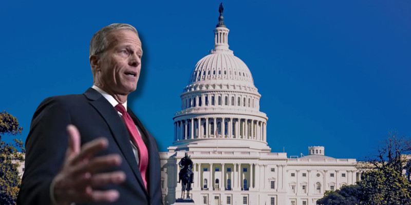 CONNIE HAIR: The US Senate is about to remember why it exists