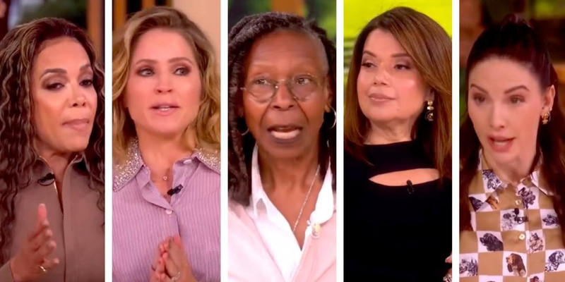 LIBBY EMMONS: The harpies of The View advocate AGAINST motherhood and marriage