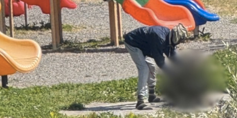 Nigerian immigrant busted in Italy cooking cat to eat in children's playground