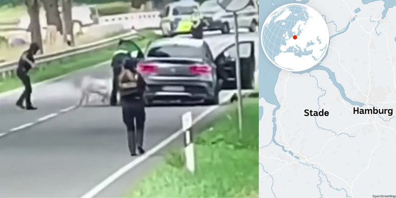 Man with 'Turkish roots' arrested for killing 6 in German youth facility shooting