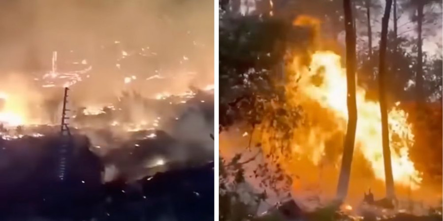 Hundreds arrested in France over suspected role in wildfires as country faces worst damage since WWII