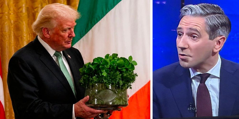 Left-wing Irish politicians plot to boycott President Trump’s visit to Dublin