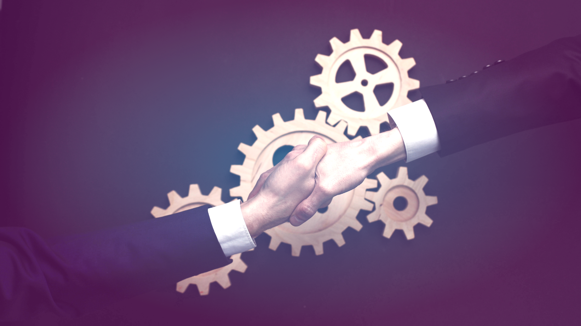 Flywheel Partner IntelliBuddies®