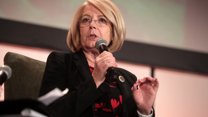 Senate President Fann tells Cyber Ninjas to 'immediately make available' records on election audit