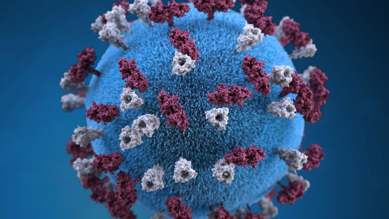 Arizona sees more measles cases along its border with Utah