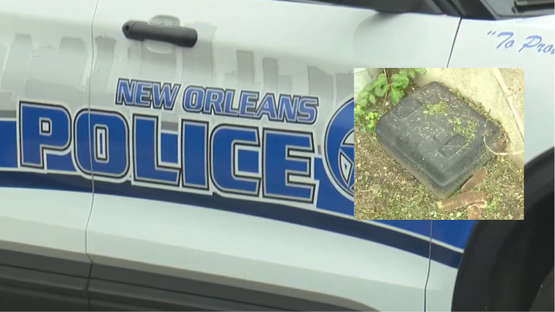 Rats, mold, and marijuana: The struggle of New Orleans police ...