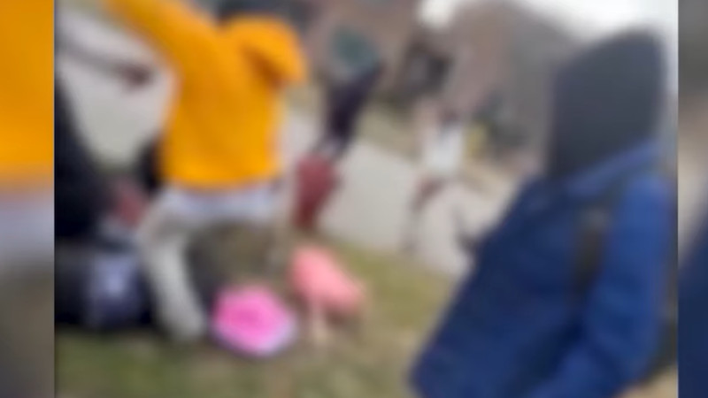 Viral Video Shows Chicago Mom and Son Stomped in Shocking Attack