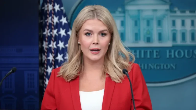 White House Promises Handcuffs in Billion-Dollar Minnesota Fraud Investigation