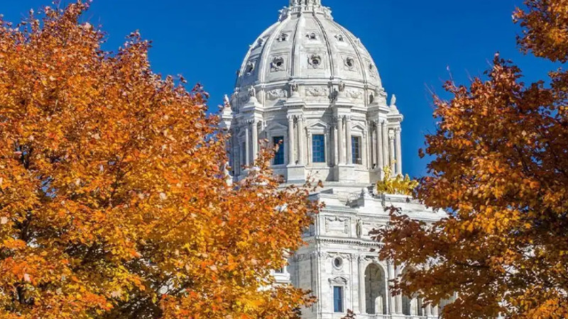 Minnesota Senate Democrats Push Sweeping Assault Weapon and Magazine Ban