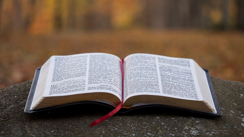 Christian professor who criticized DEI wins battle for tenure at Michigan State U.