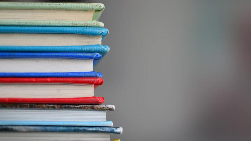 Florida public schools report learning gains amid school choice boom 