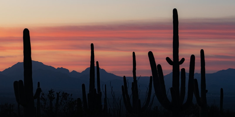 AZ judge rules lawmakers violated state constitution