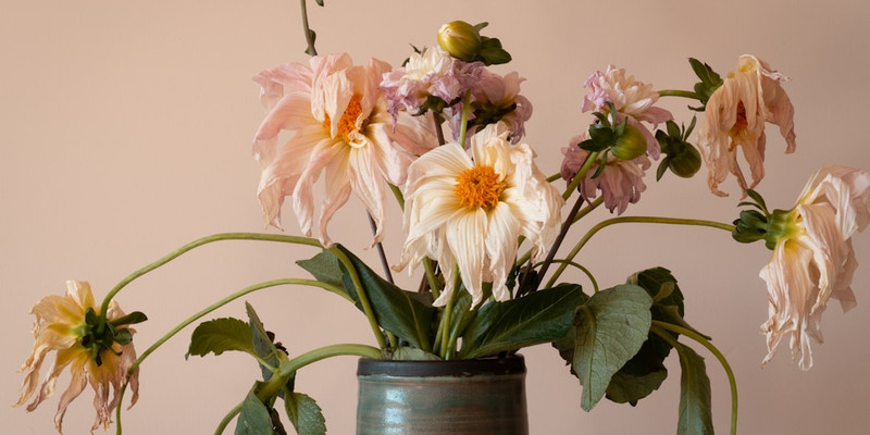 Public Schools Enrollment Continues To Decline