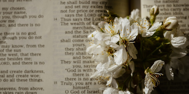 Texas school district under fire after nixing Good Friday in favor of Cesar Chavez Day