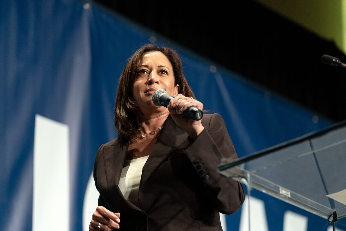 New Poll Shows Kamala Leading in Almost All Swing States, Including North Carolina
