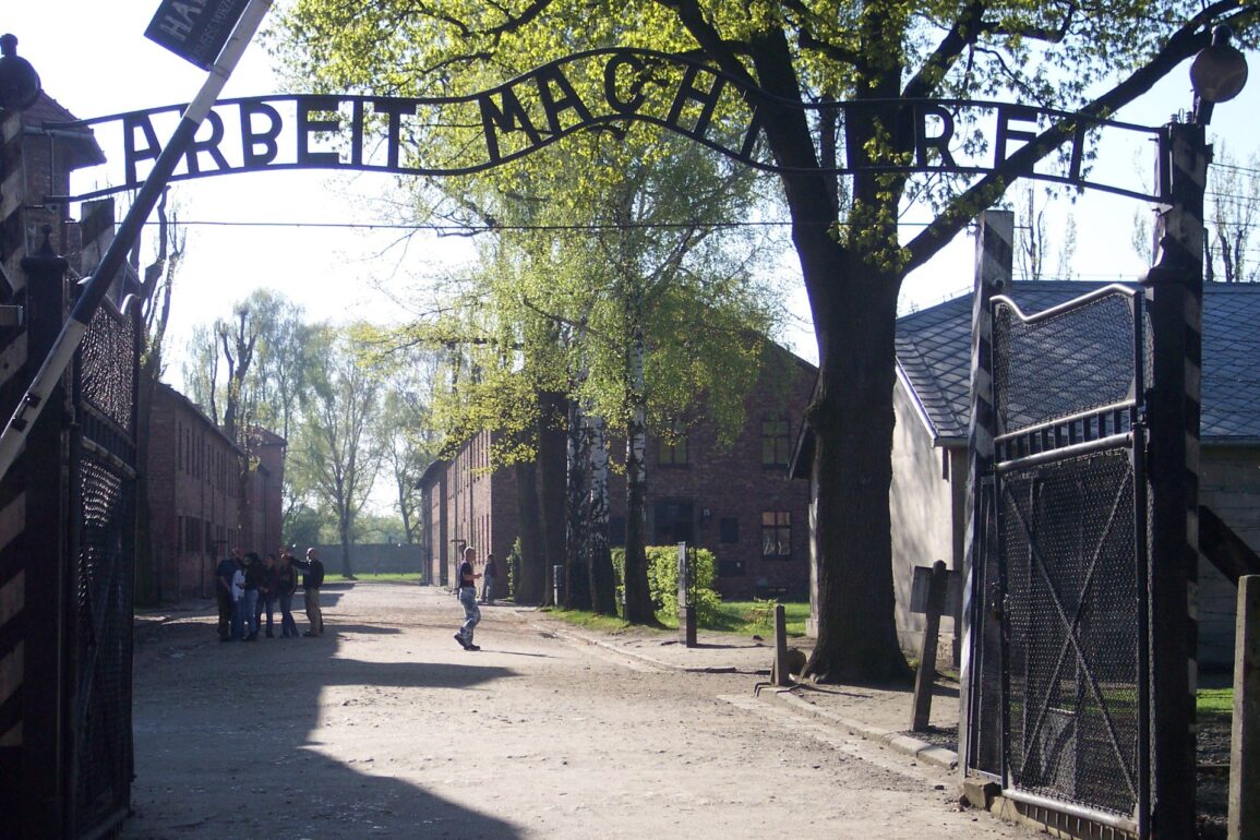 New Poll Reveals Shocking Number of Americans Think Holocaust is a Myth