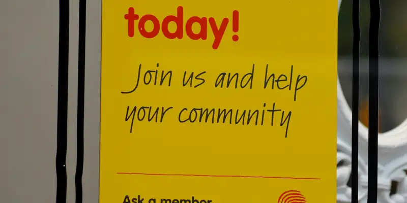 Empowering Campaigns: Building a Virtual Volunteer Network