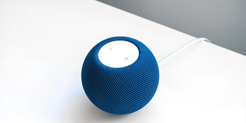 Voice-Activated Campaigning: The Smart Speaker Advantage