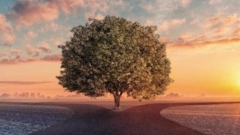 A Dozen Observations about Life and Choices