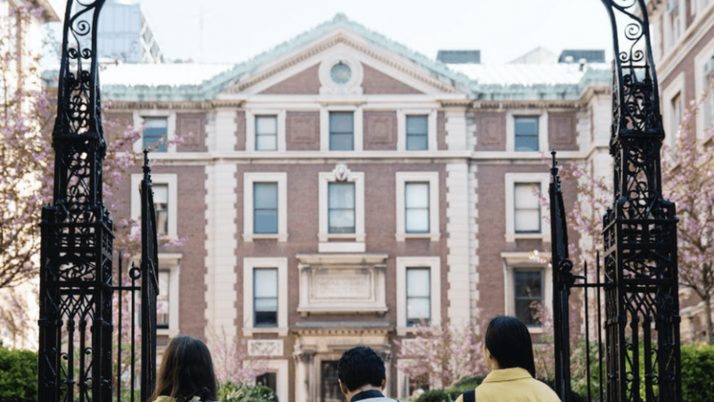 The War on Whites Gets a Boost from the University of Chicago