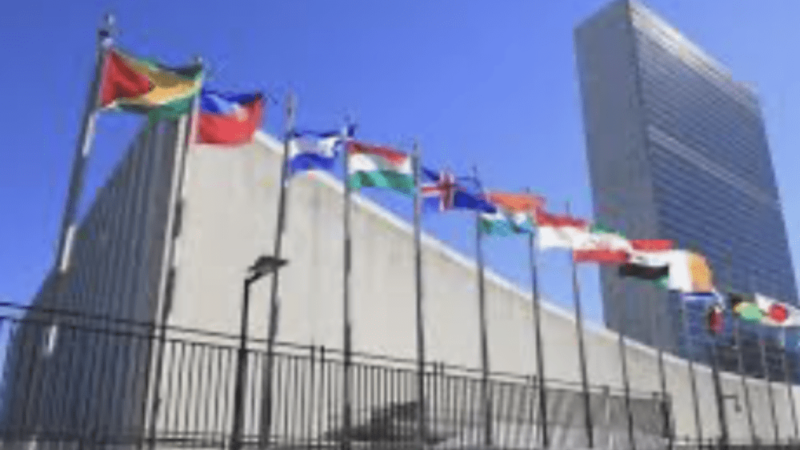 Defund the US-Hating United Nations