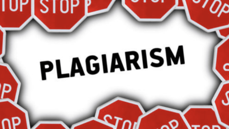 Dr. Carol Swain Responds to Harvard President Ripping Her Intellectual Property Off