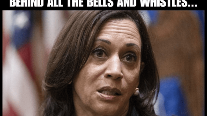 Kamala: A National Nightmare