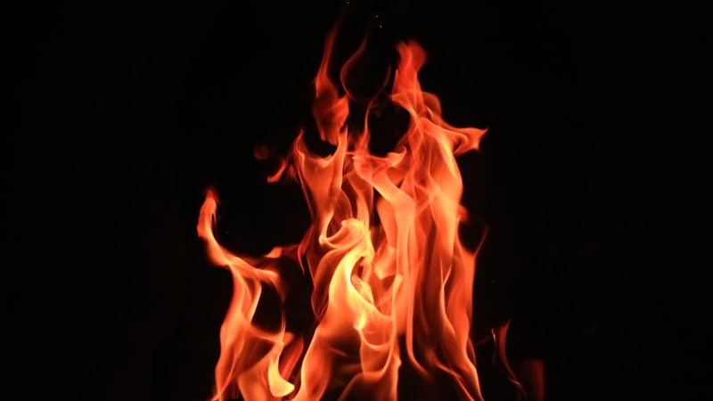 Revival Spreads Like Fire—From Heart to Nation