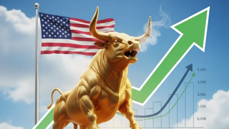The Market Gyrations 