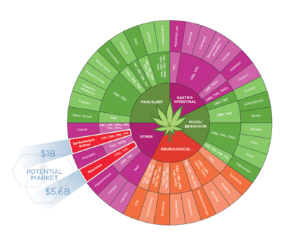 InMed Pharmaceuticals, Inc. (IMLFF) Gains Attention for Its Operational Developments and Leadership Team