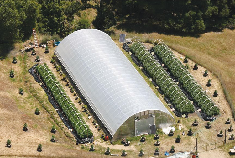 Global Payout, Inc. (GOHE) Subsidiary Ramping-Up Sales and Marketing Efforts for PotSaver Brand