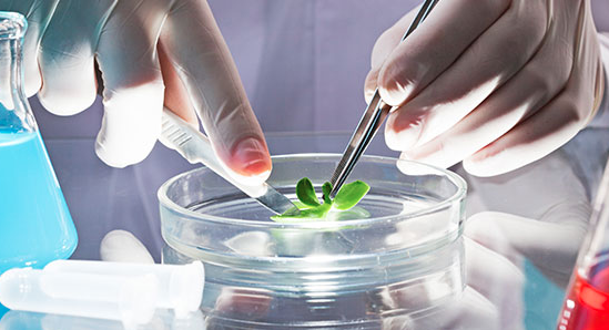 INMED PHARMACEUTIC COM NPV (CSE: IN OTCBB: IMLFF) Closes In Green