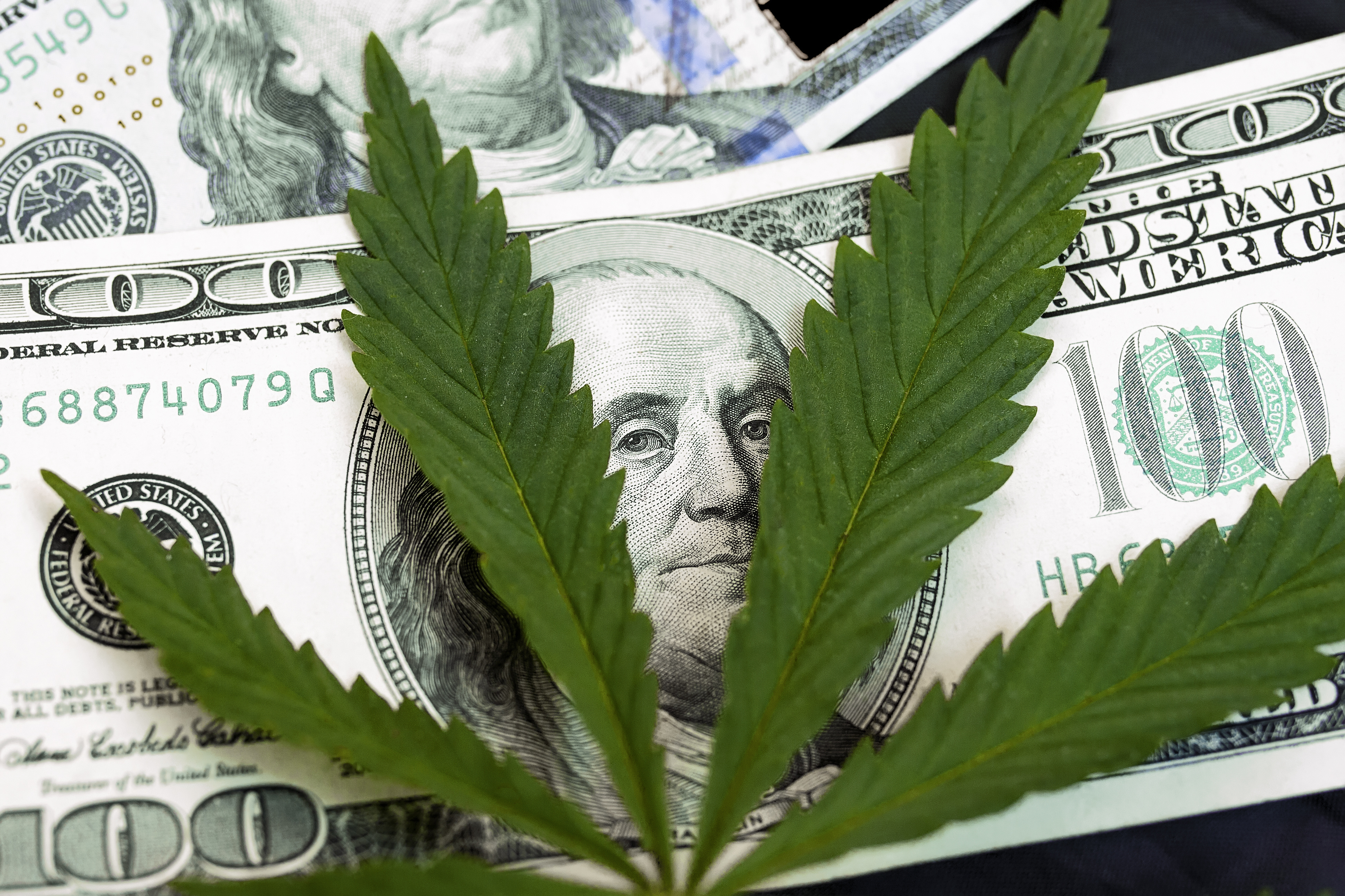 Marijuana Company of America, Inc. (MCOA) Builds Momentum as Legalization Push Gains Steam