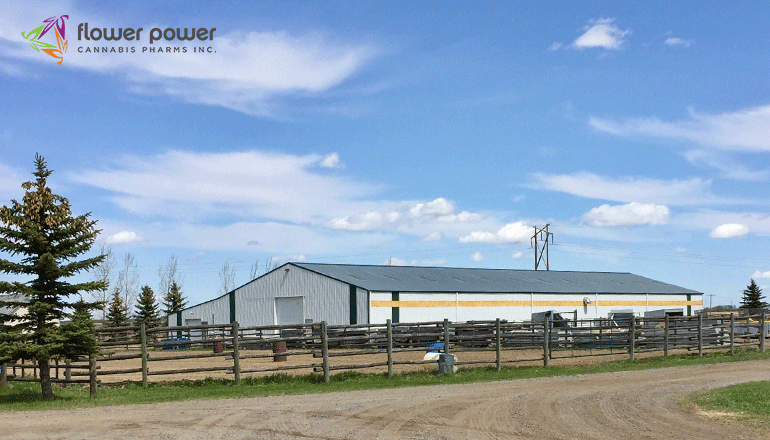 Choom™ Keeps On Rollin' with the Acquisition of Flower Power: Another Late Stage Cannabis Growing Applicant And Retail Brand