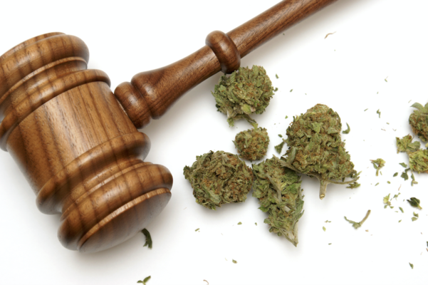 Forbes:  Federal Report On Marijuana Legalization Required Under New Bill