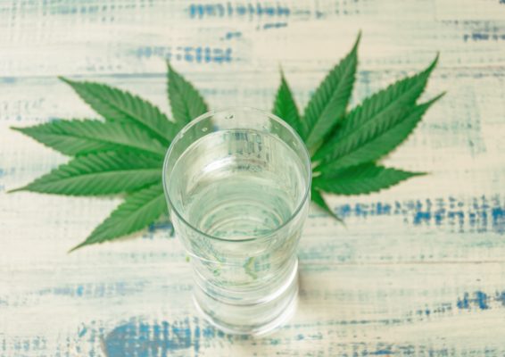 Cannabidiol-Infused Water Company Sees Market Going ‘Mainstream’