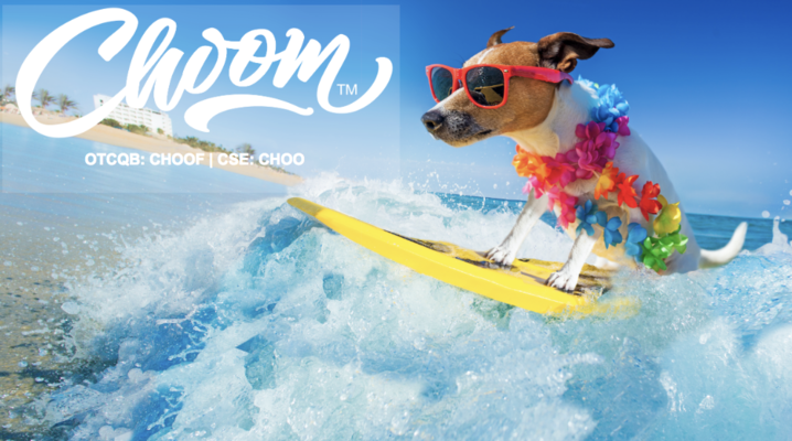 Choom Enters MOU To Distribute CBD Animal Health Products