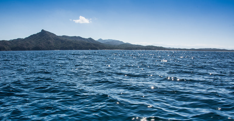 How the cannabis industry cleans up the ocean