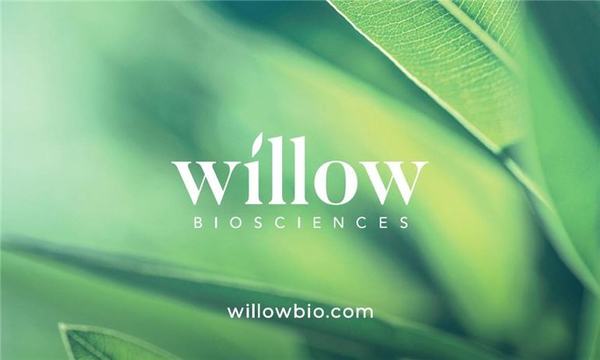 Willow Biosciences and Noramco Announce Biosynthesis Cannabidiol Platform for Joint Development 