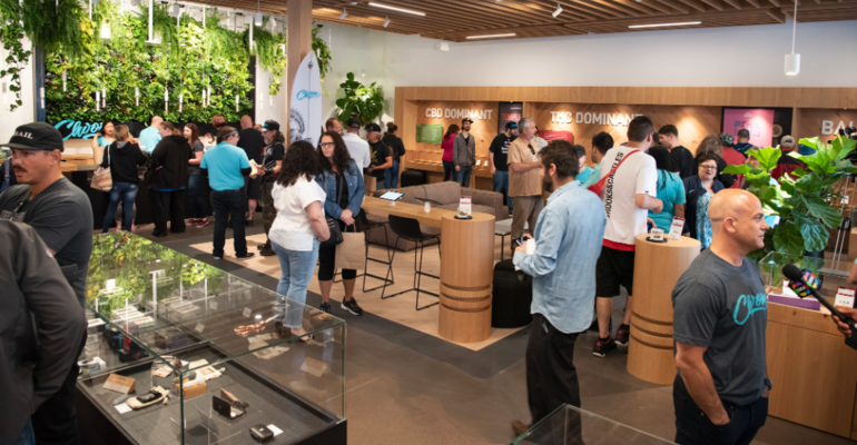 The 6 Best Marijuana Stocks in June