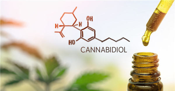 Is CBD Ready to Make its BIG Move in the U.S.?