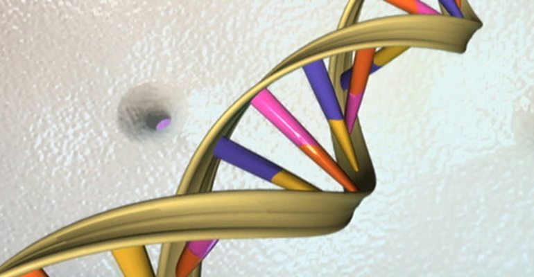 Rediscovering Cannabis: The Pan-Cannabis Genome Project