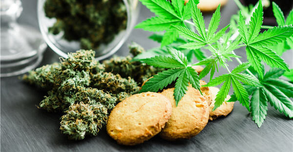 U.S. Cannabis Edibles: Billions of Revenue Dollars Today, $10’s of Billions Tomorrow