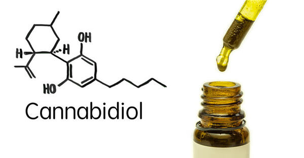 Canadian Cannabis Industry Needs Better CBD Regulations