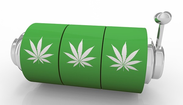 Ontario Announces 42 ‘Lottery Winners’ Eligible for New Cannabis Licenses