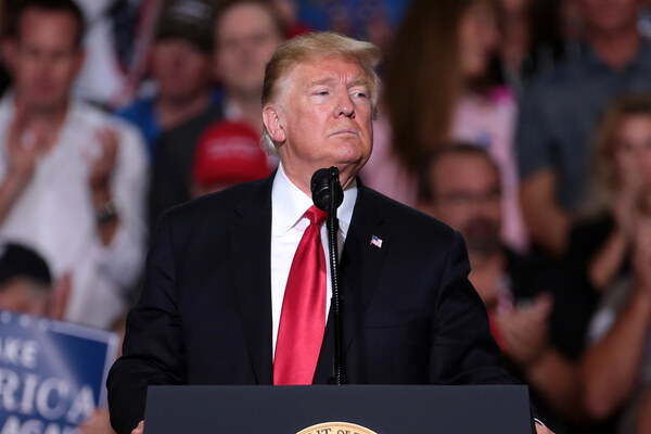 Trump Might Push Cannabis Legalization In 2020