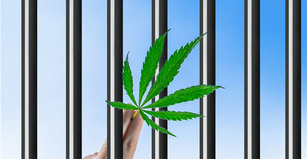 U.S. Anti-Cannabis ‘Law Enforcement’ Getting WORSE