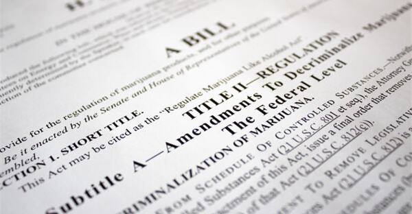 Why The U.S. Cannabis Industry Needs SAFE To Pass TODAY