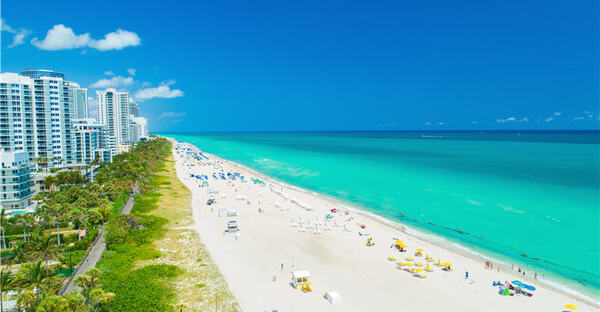 Florida Cannabis Industry Gaining Momentum