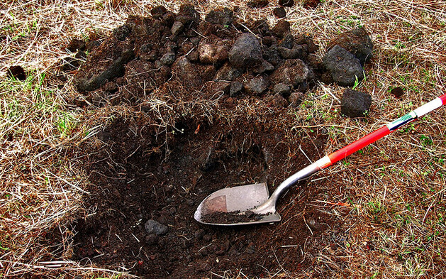 Son Allegedly Buried 97-Year-Old Mom in the Backyard to Continue Collecting Her Benefits